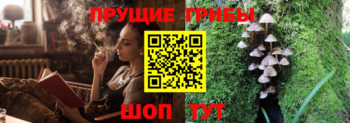 Галлюциногенные грибы Magic Shrooms Алексеевка